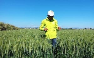 Plateformes Al Moutmir : des résultats agricoles prometteurs en 2025