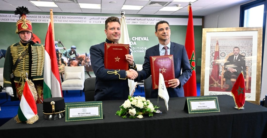 Maroc-Hongrie : un accord pour valoriser les chevaux emblématiques