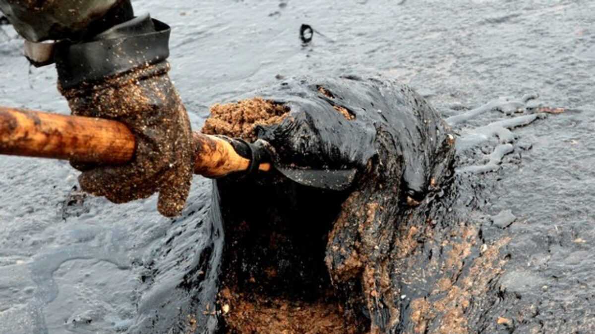 Près de 100 km de côtes touchées par une marée noire au sud du Gabon