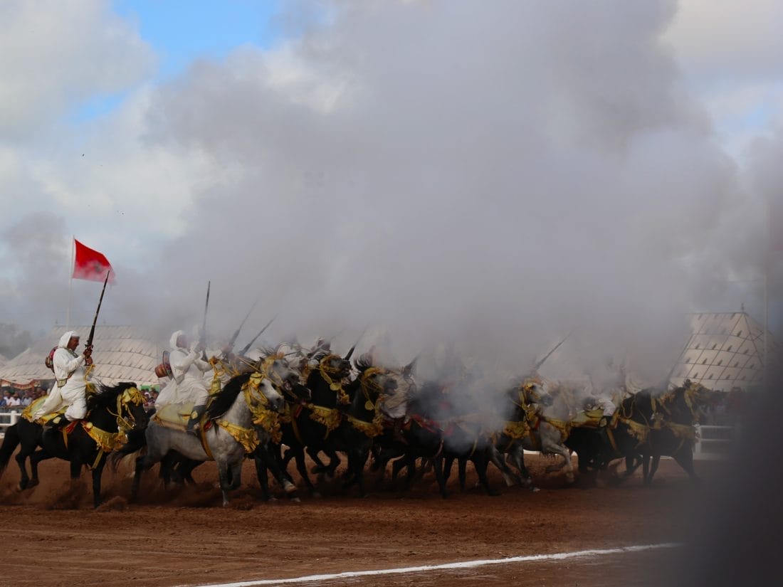 Tbourida : la Sorba du Moqaddem Benkheda sacrée au Salon du cheval d’El Jadida