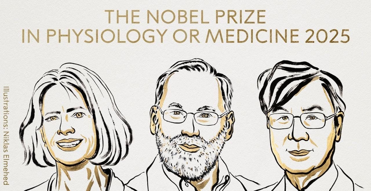 Prix Nobel de médecine 2025 : trois chercheurs récompensés pour leurs travaux sur l’immunité