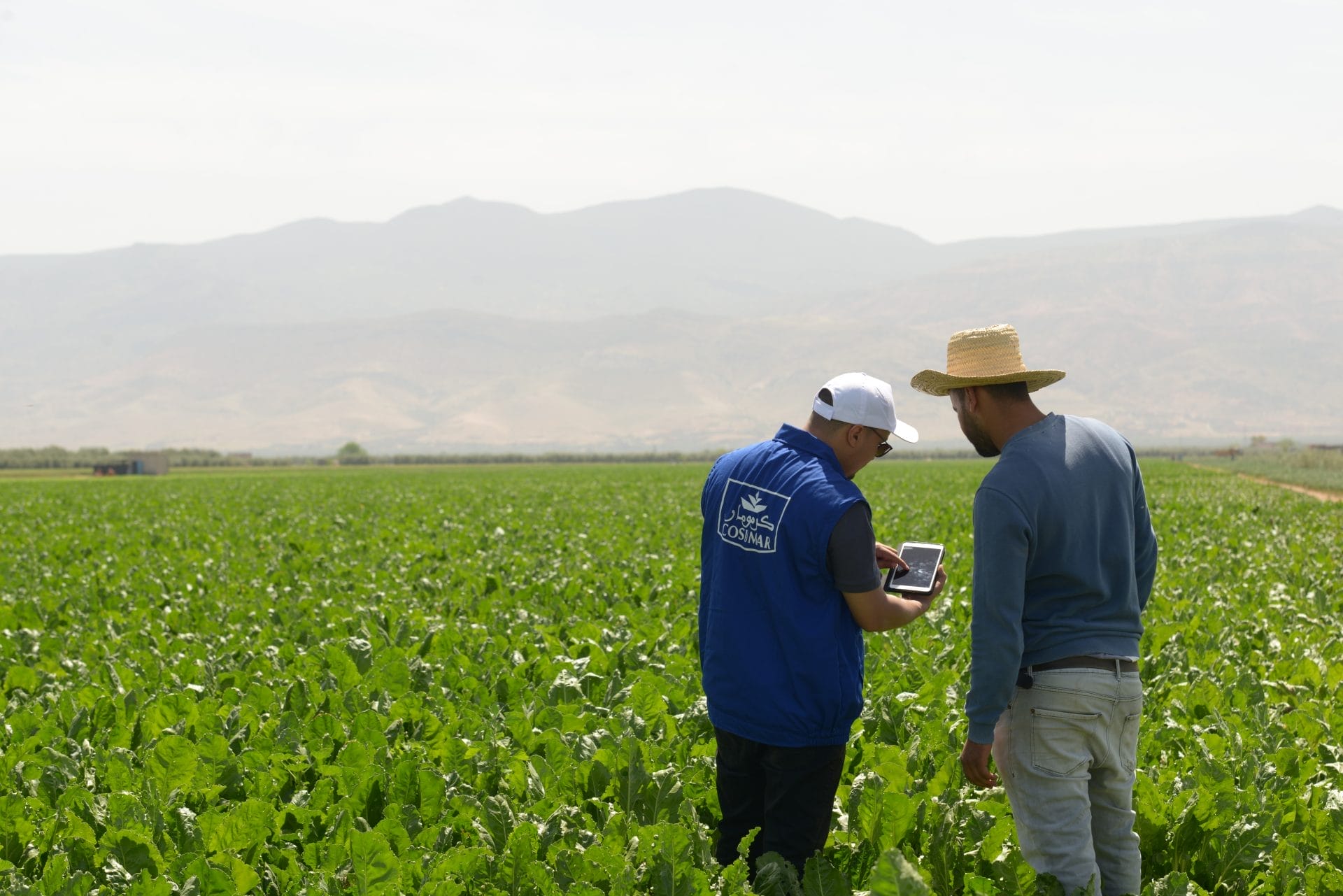 COSUMAR lance la campagne sucrière 2025/2026 et renforce son soutien aux agriculteurs