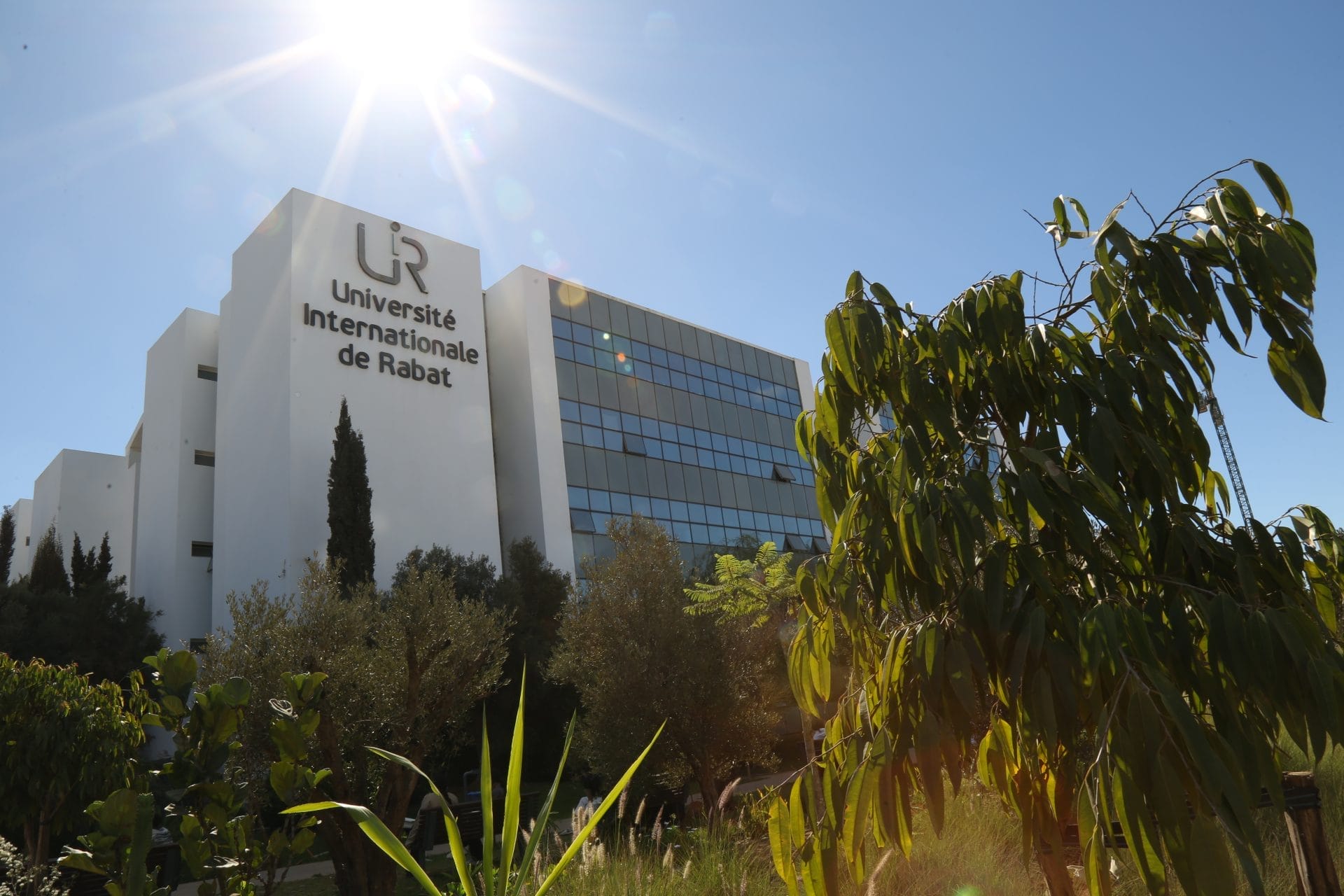 Info Le Brief – Cinéma : l’UIR s’installe à Marrakech, ouverture prévue en 2026