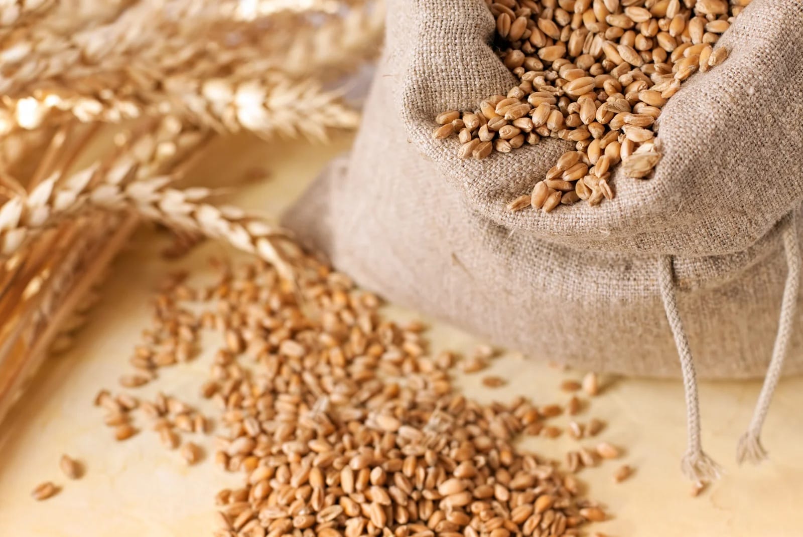 La Fatwa sur la Zakat désormais accessible au public