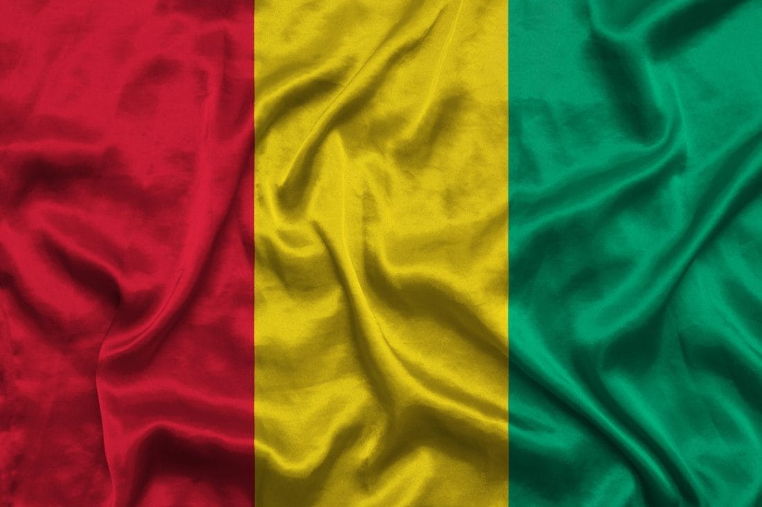 La Guinée, deuxième économie la plus dynamique d’Afrique subsaharienne en 2025 1 La Guinée, deuxième économie la plus dynamique d’Afrique subsaharienne en 2025