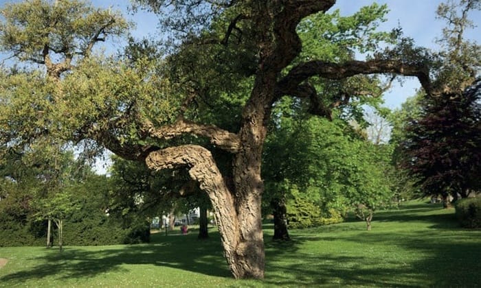 Travaux près de la Maâmora : l’ANEF clarifie et rassure 2 Travaux près de la Maâmora : l’ANEF clarifie et rassure
