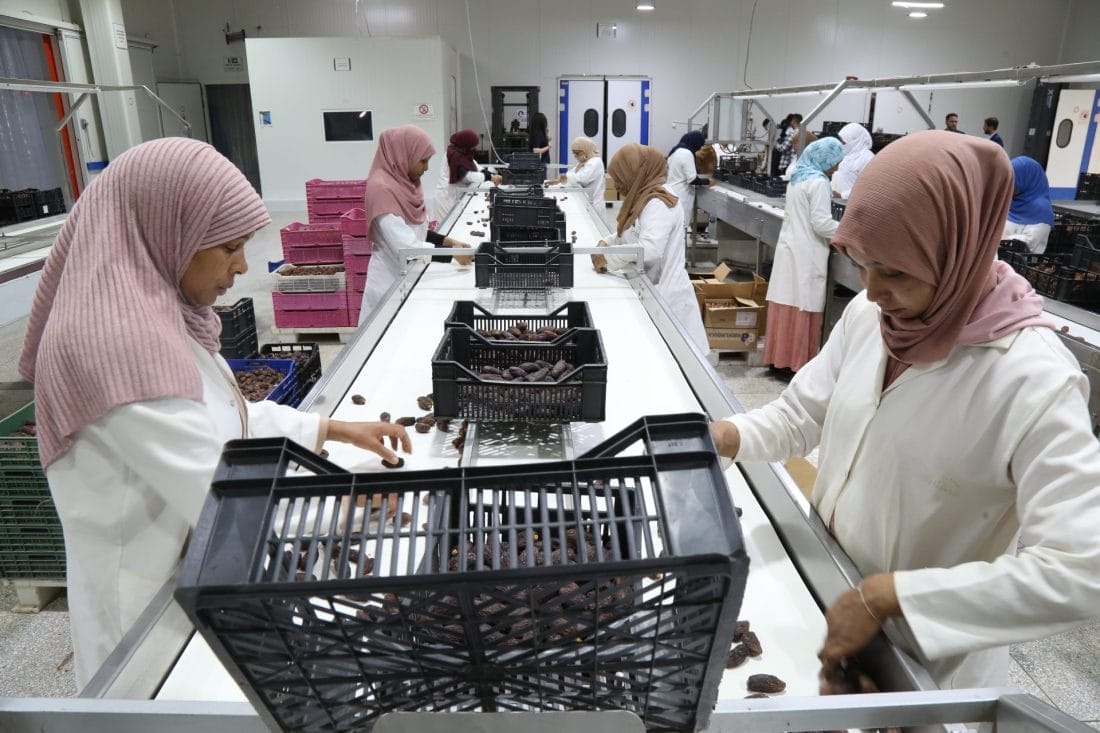 Vid&eacute;o - SIDATTES 2025 : les femmes d&rsquo;Erfoud au c&oelig;ur de la fili&egrave;re dattier