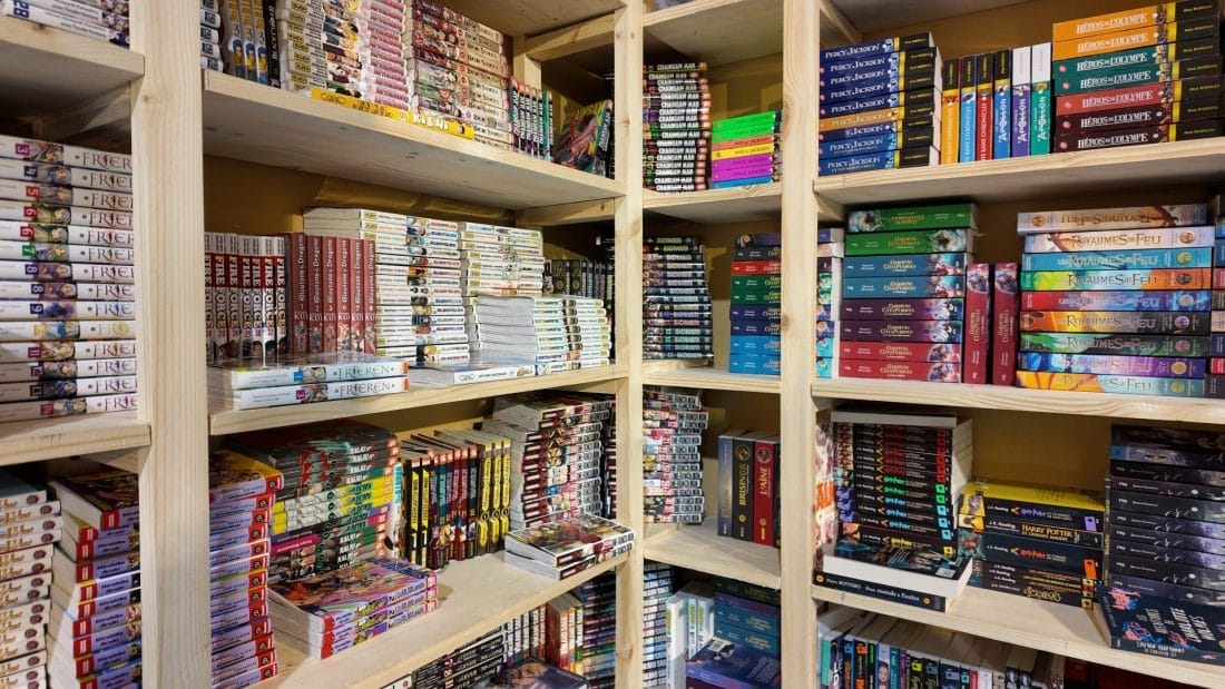 Lecture jeunesse : l'essor du numérique au détriment des capacités mentales