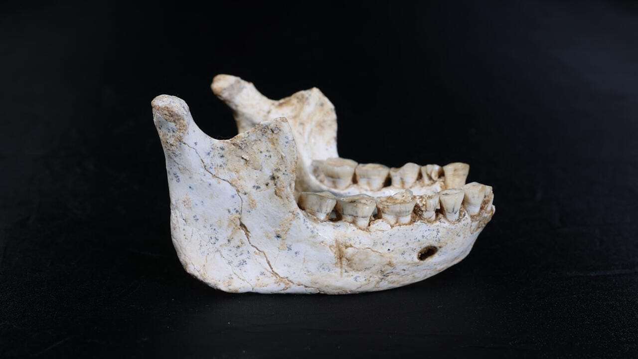 Fossiles au Maroc Des fossiles au Maroc révèlent une nouvelle étape de l’évolution humaine