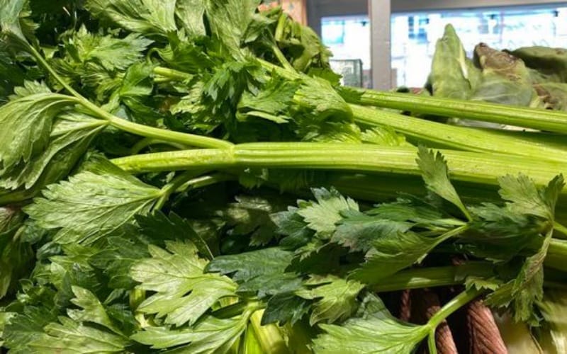 krafess celeri maroc